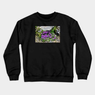 Mountain flowers Switzerland bumblebee / Swiss Artwork Photography Crewneck Sweatshirt